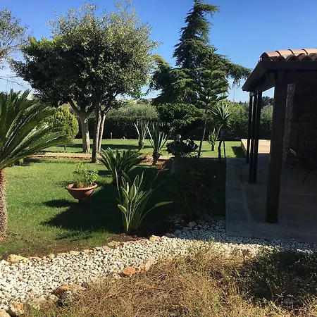 Pajara