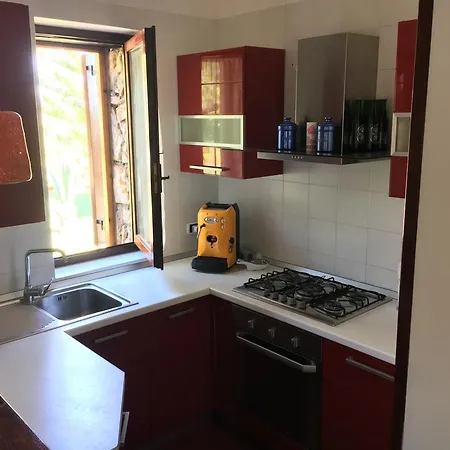 Pajara *